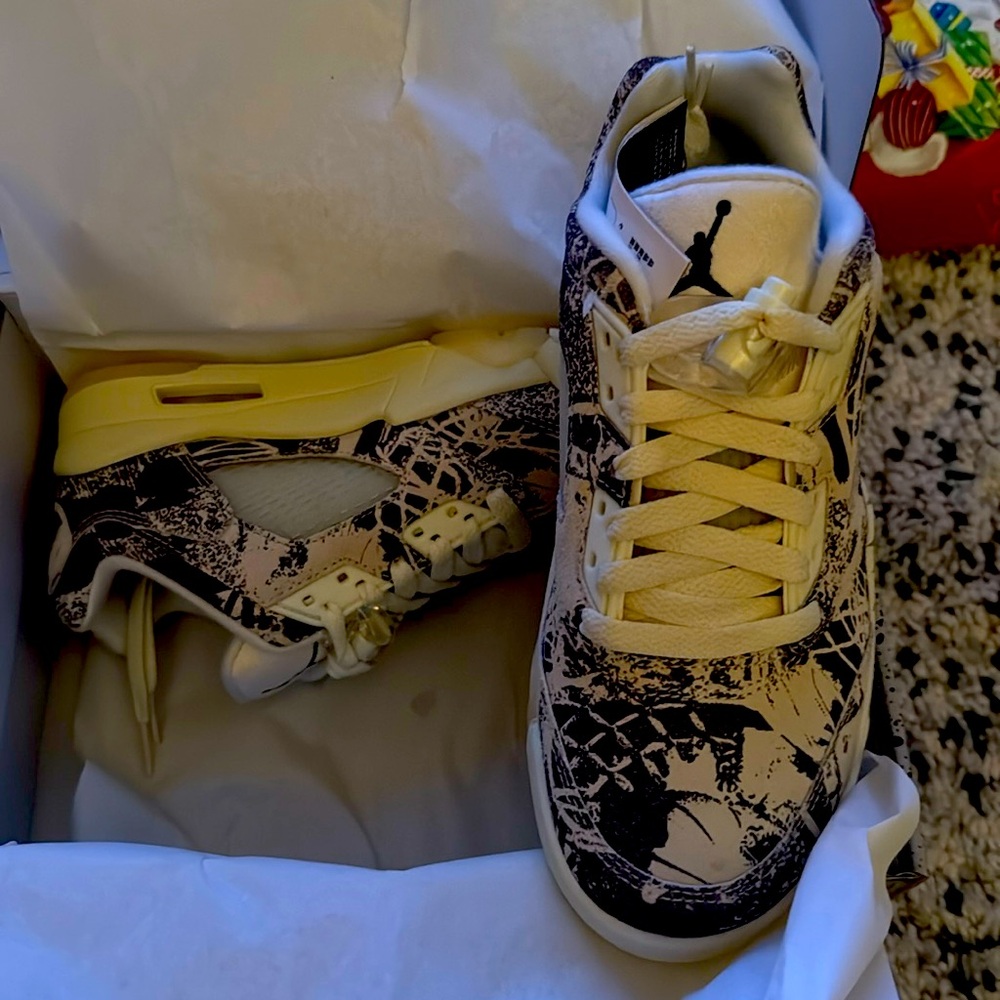Air Jordan 5 retro low